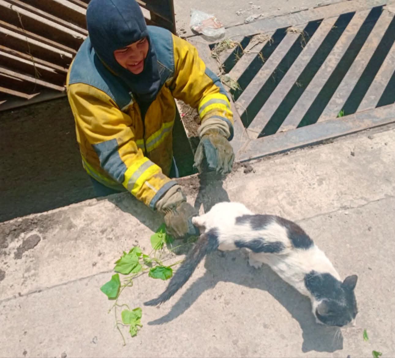 Bomberos de Cuautlancingo rescatan a un perro y un gato atrapados en alcantarilla y vaso regulador