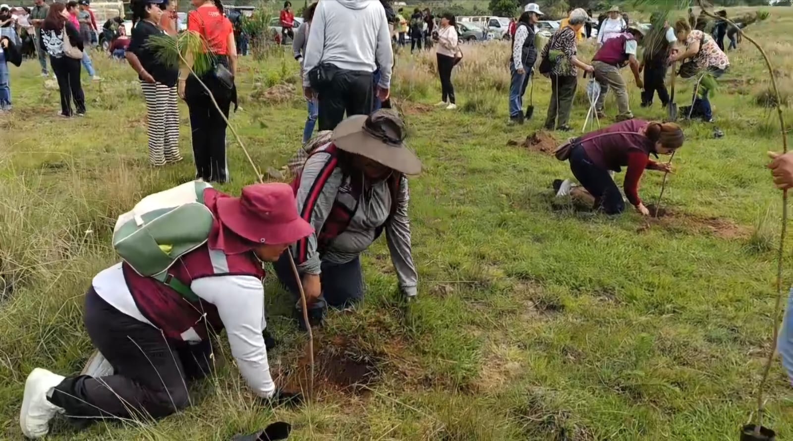 Tonantzin Fernández encabeza jornada de reforestación en Zapotecas; 550 árboles en el pulmón verde de Cholula