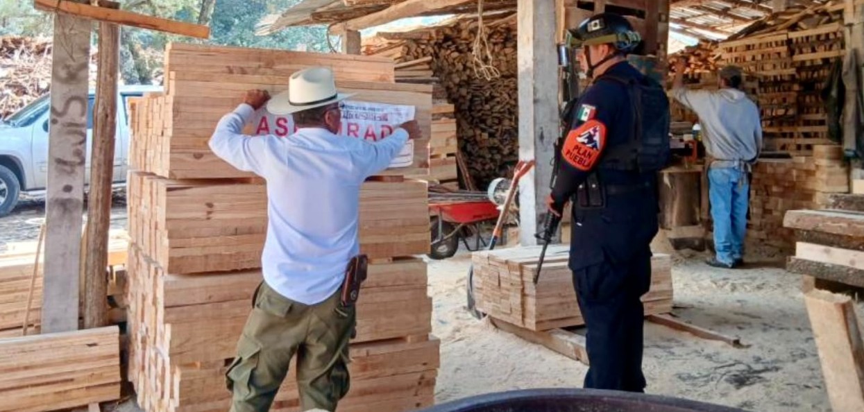 Madera asegurada durante un operativo en un aserradero de Puebla.