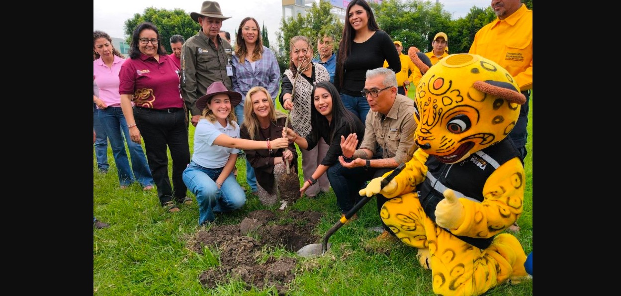Entrega de plantas durante jornada de reforestación en Puebla.