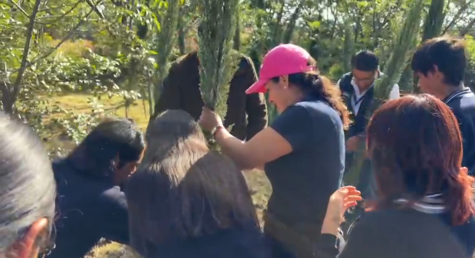 San Andrés Cholula fortalece acciones ambientales con reforestación y entrega de árboles