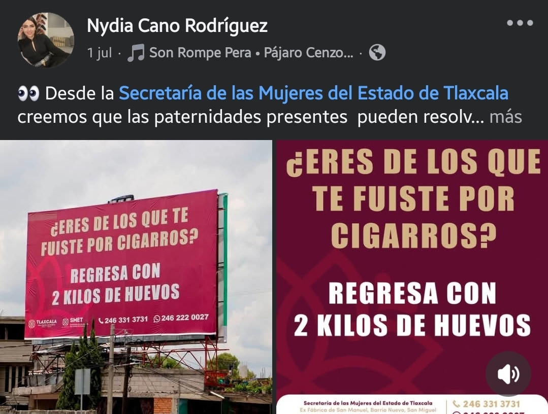 Denuncian ante CEDHT campaña sexista de funcionaria lorenista