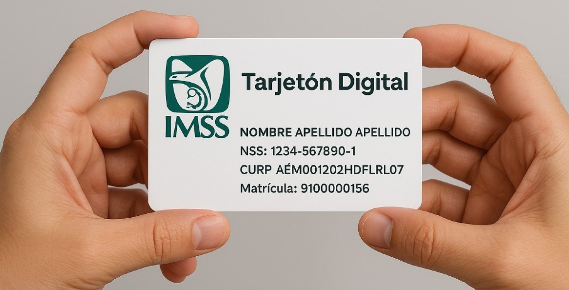 Persona consultando el Tarjetón Digital IMSS en computadora