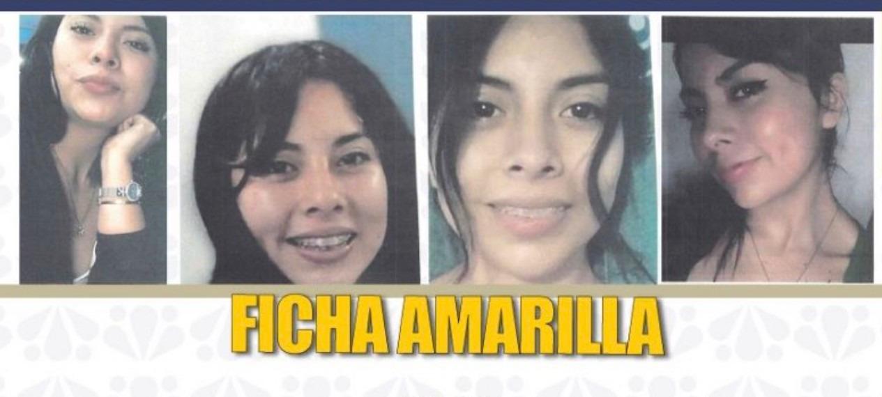 Ficha de búsqueda de Karla Alejandra Tela Flores