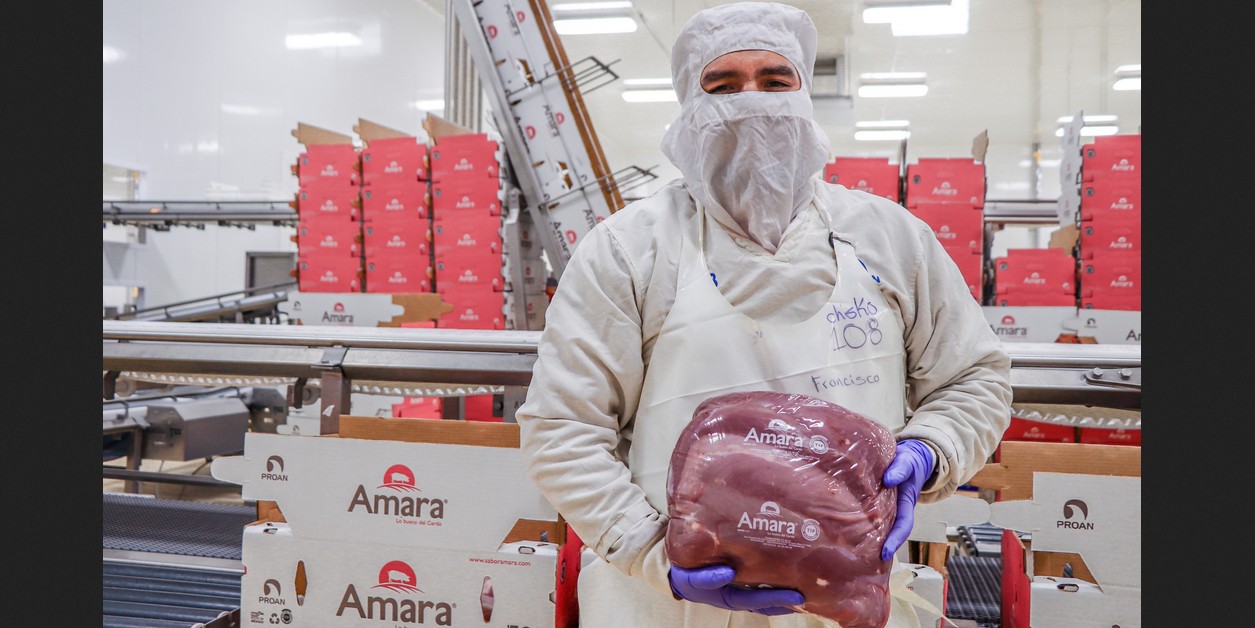 Productos agroalimentarios mexicanos destinados a exportación.
