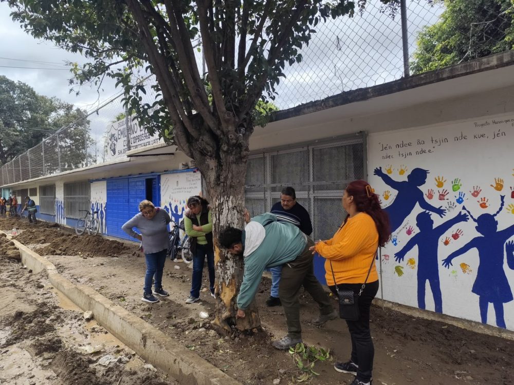 Ayuntamiento de Puebla reporta atención a más de 10 mil árboles para fortalecer el arbolado urbano