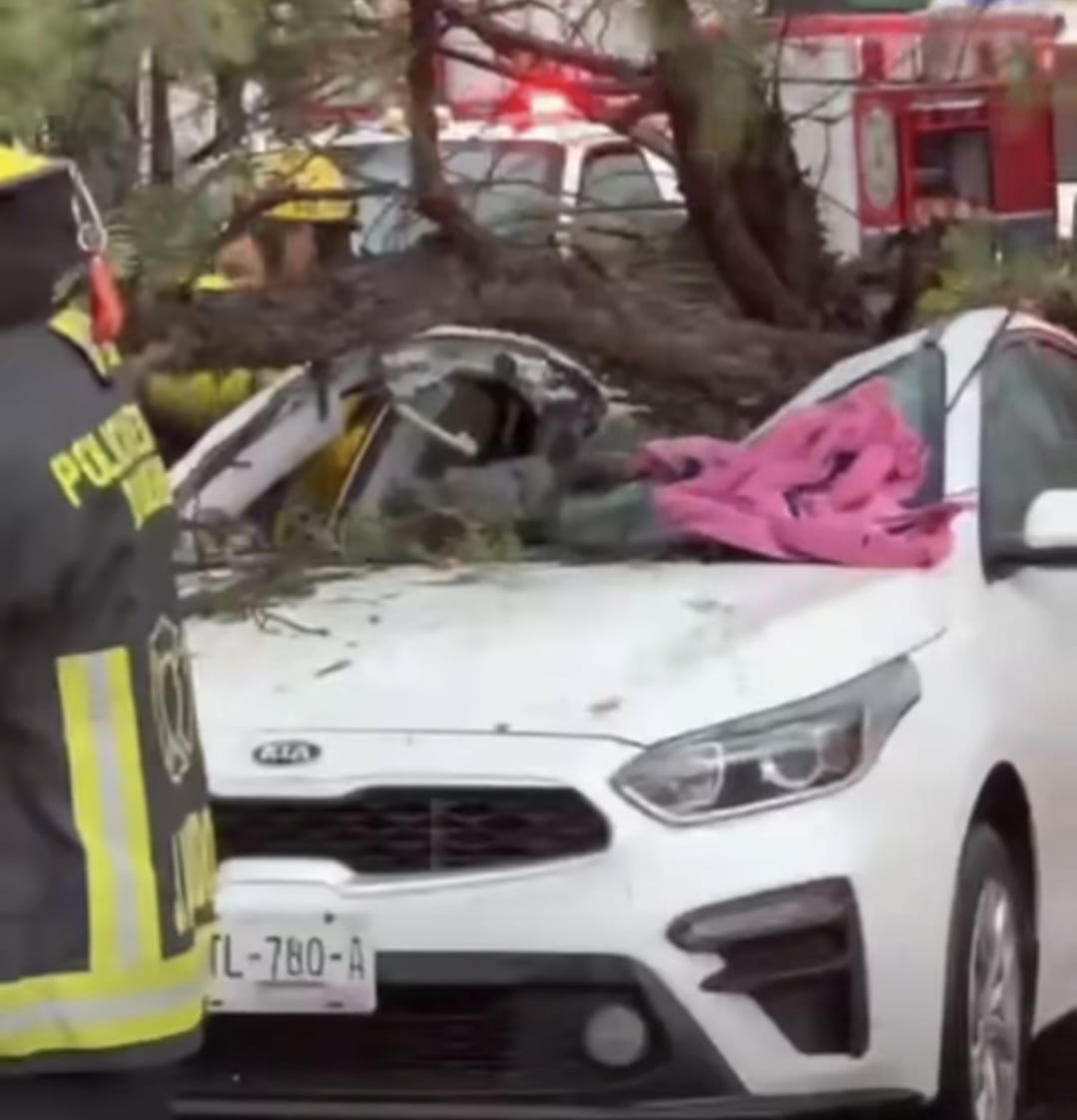 Fallece mujer tras desplome de árbol sobre un automóvil en la Recta a Cholula