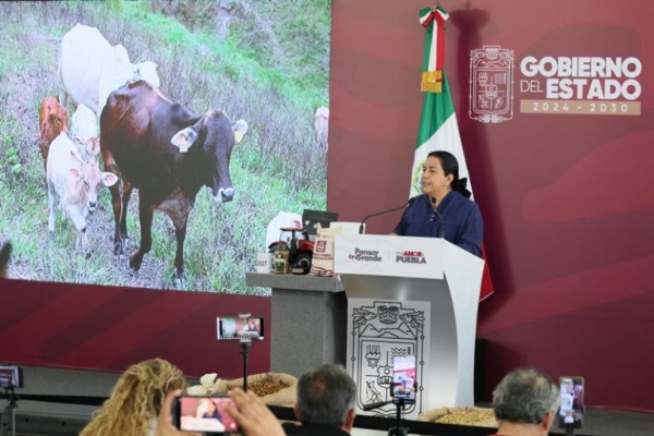 Registra Puebla 201 casos activos de gusano barrenador 