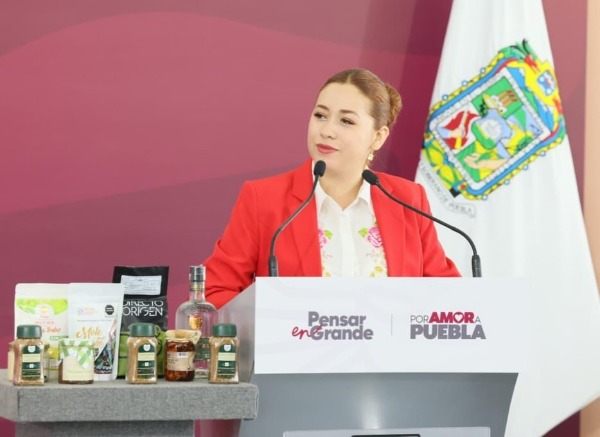 Planean instalación de luminarias y cámaras de vigilancia en parques 