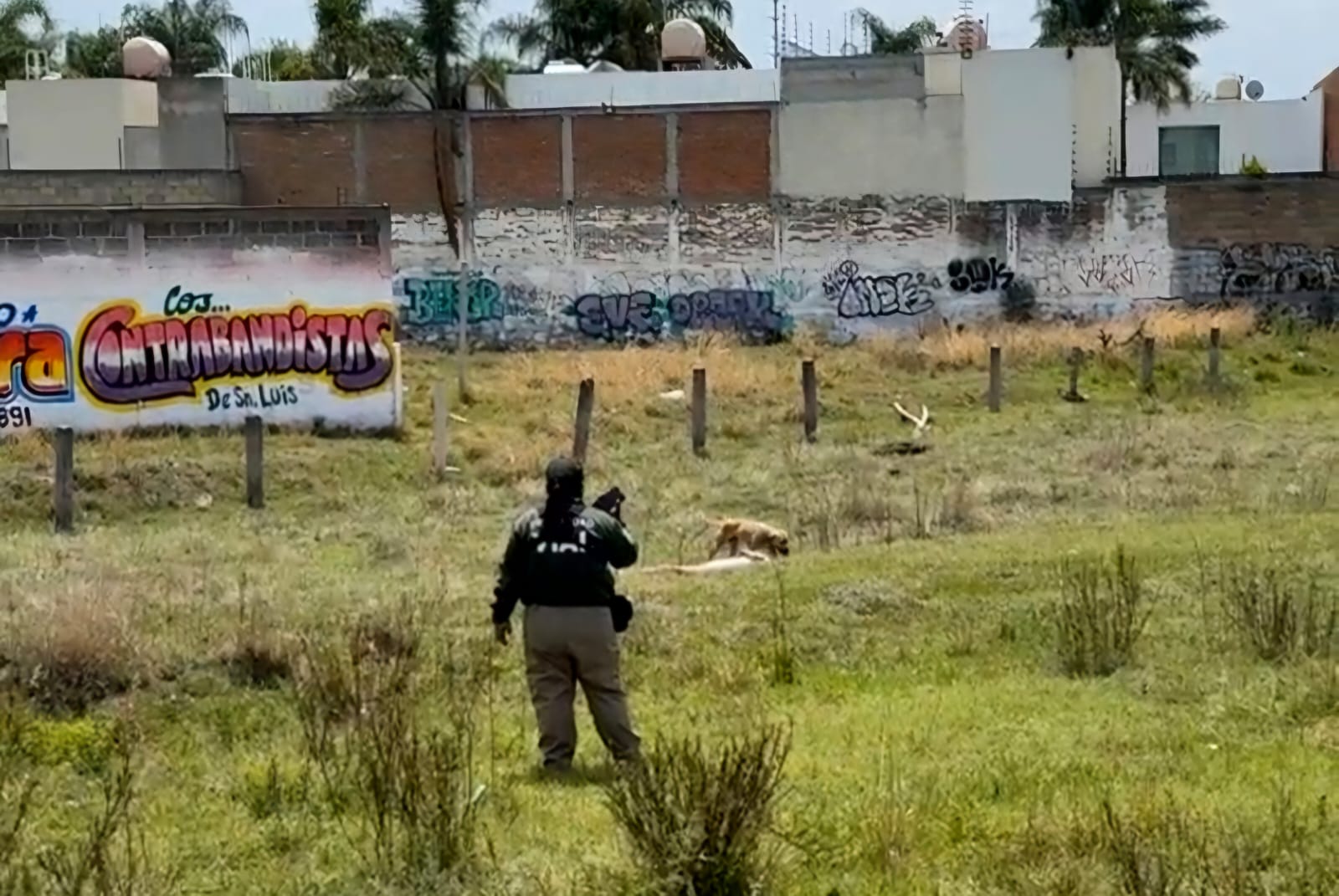 Mujer abandona su vehículo en Periférico, es localizada inconsciente junto al Periférico Ecológico