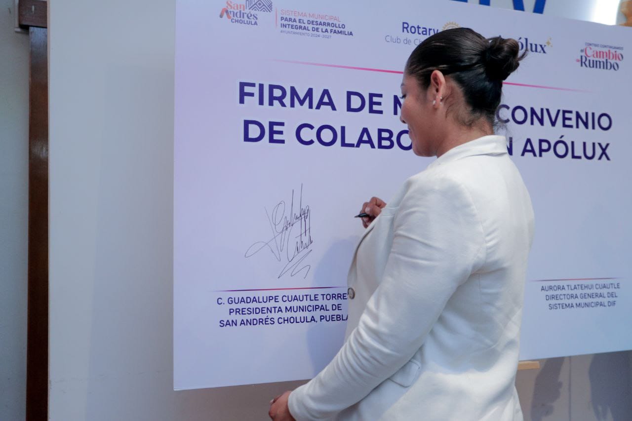 whatsapp image 2026 03 12 at 9.17.54 am 1