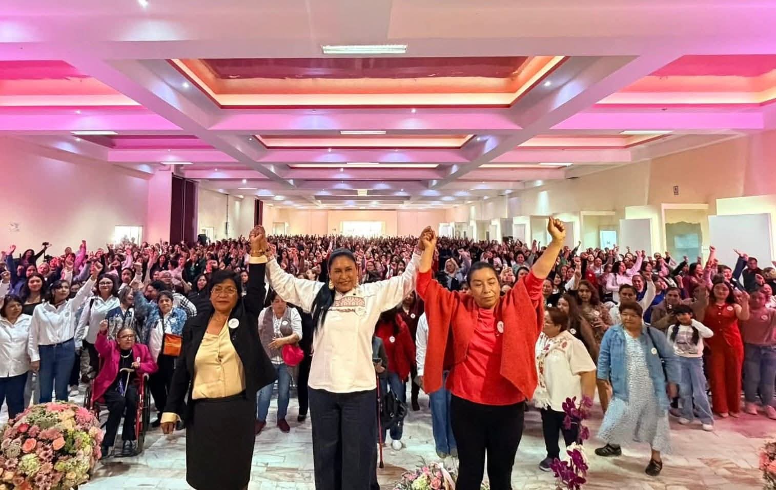 Autonomía económica: El eje de la senadora Ana Lilia Rivera para erradicar la violencia de género