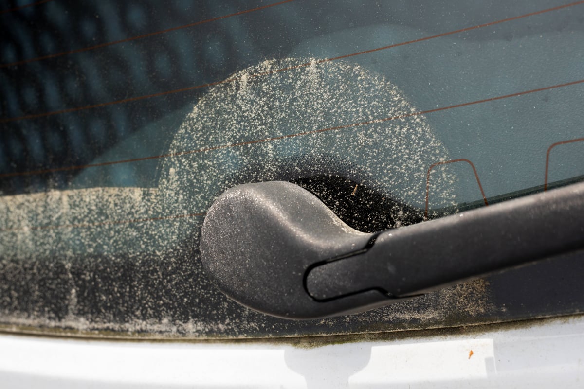 El polen vuelve con fuerza y afecta a miles de personas