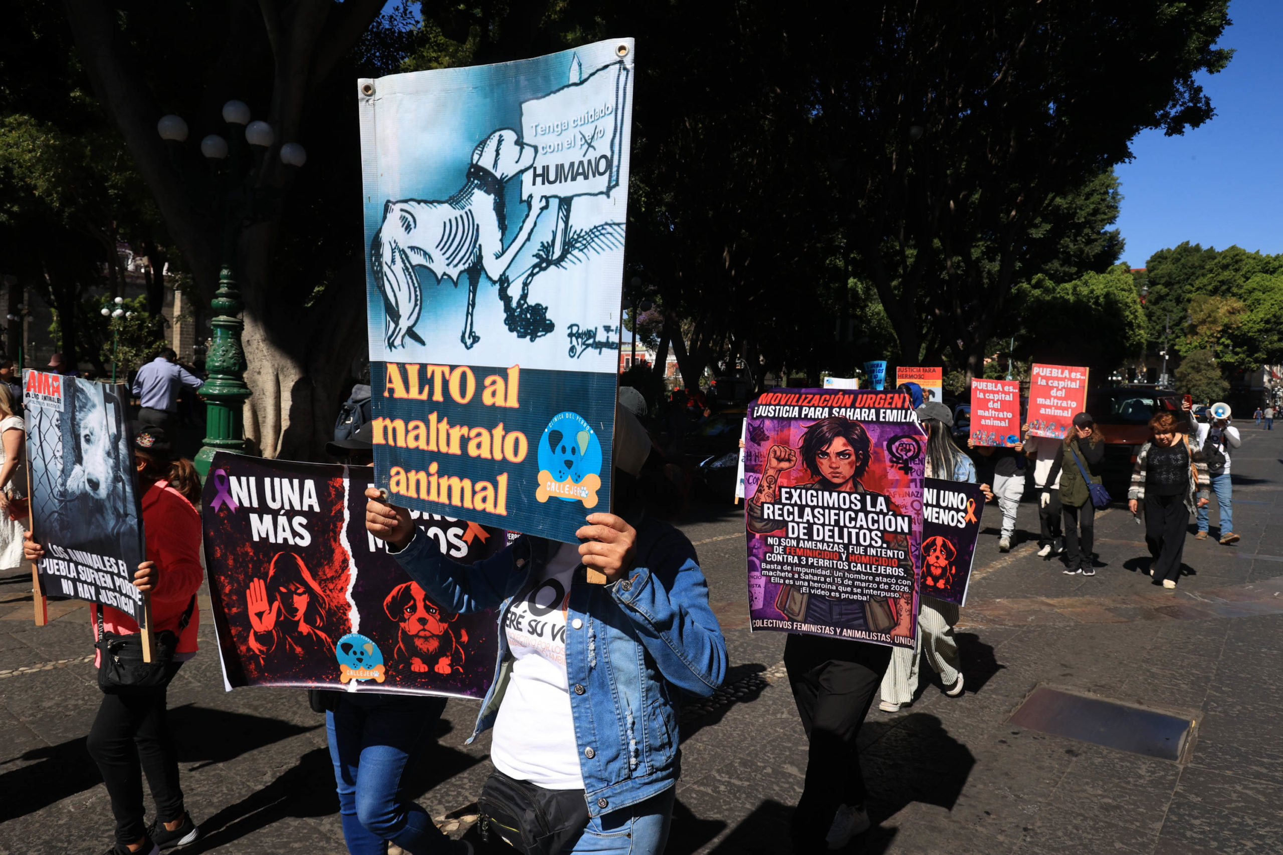 Colectivos exigen justicia por agresión a defensora de animales en Puebla