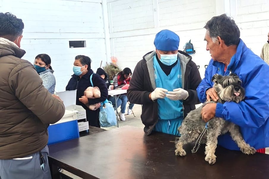 Tlaxcala activa vacunación gratuita para perros y gatos en toda la capital esta semana