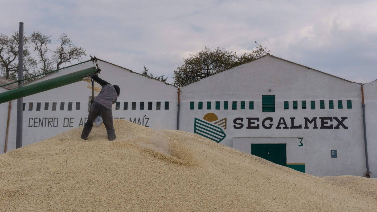 Tlaxcala: productores de maíz exigen cuentas claras por apoyos que no llegaron al campo