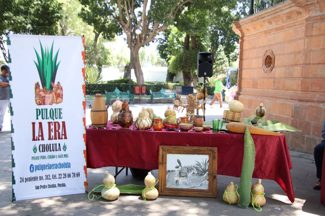 whatsapp image 2026 03 26 at 8.15.08 pm