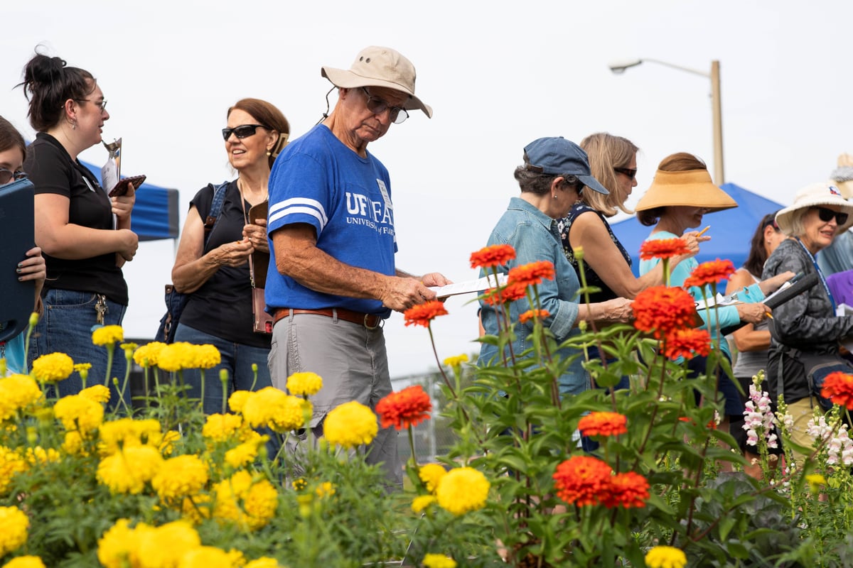 Fotografía cortesía de Cat Wofford, UF/IFAS