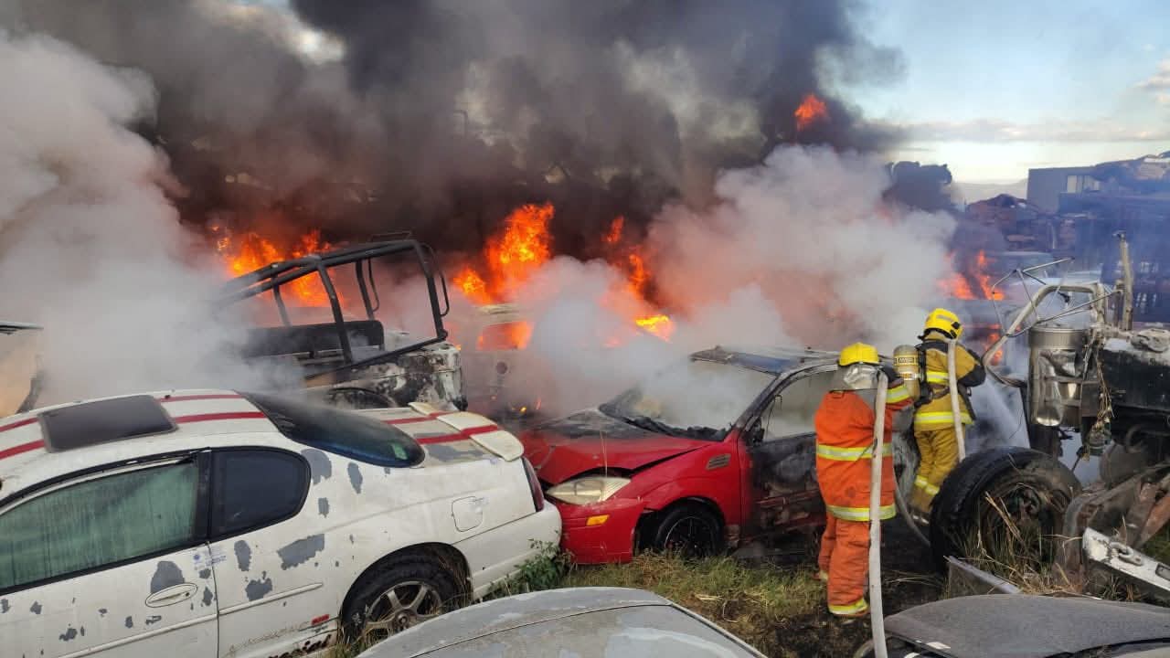 whatsapp image 2026 03 29 at 5.07.57 pm