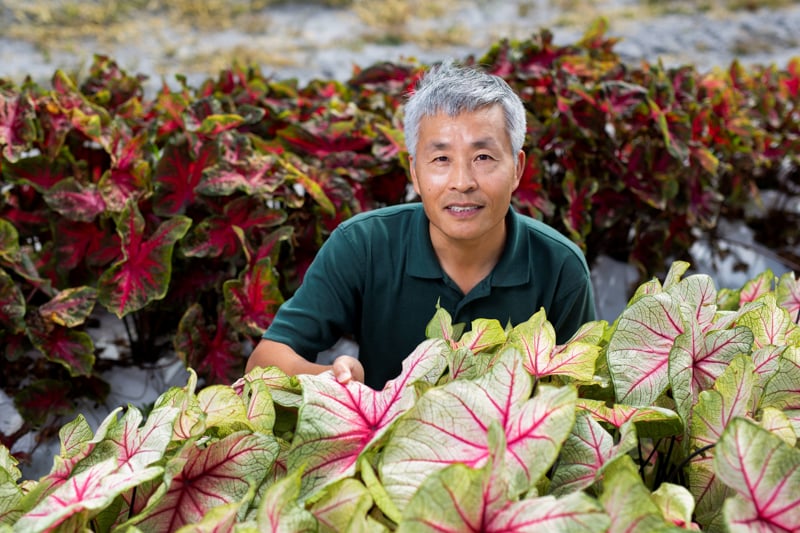 UF alcanza un hito histórico con sus caladios 50 y 51