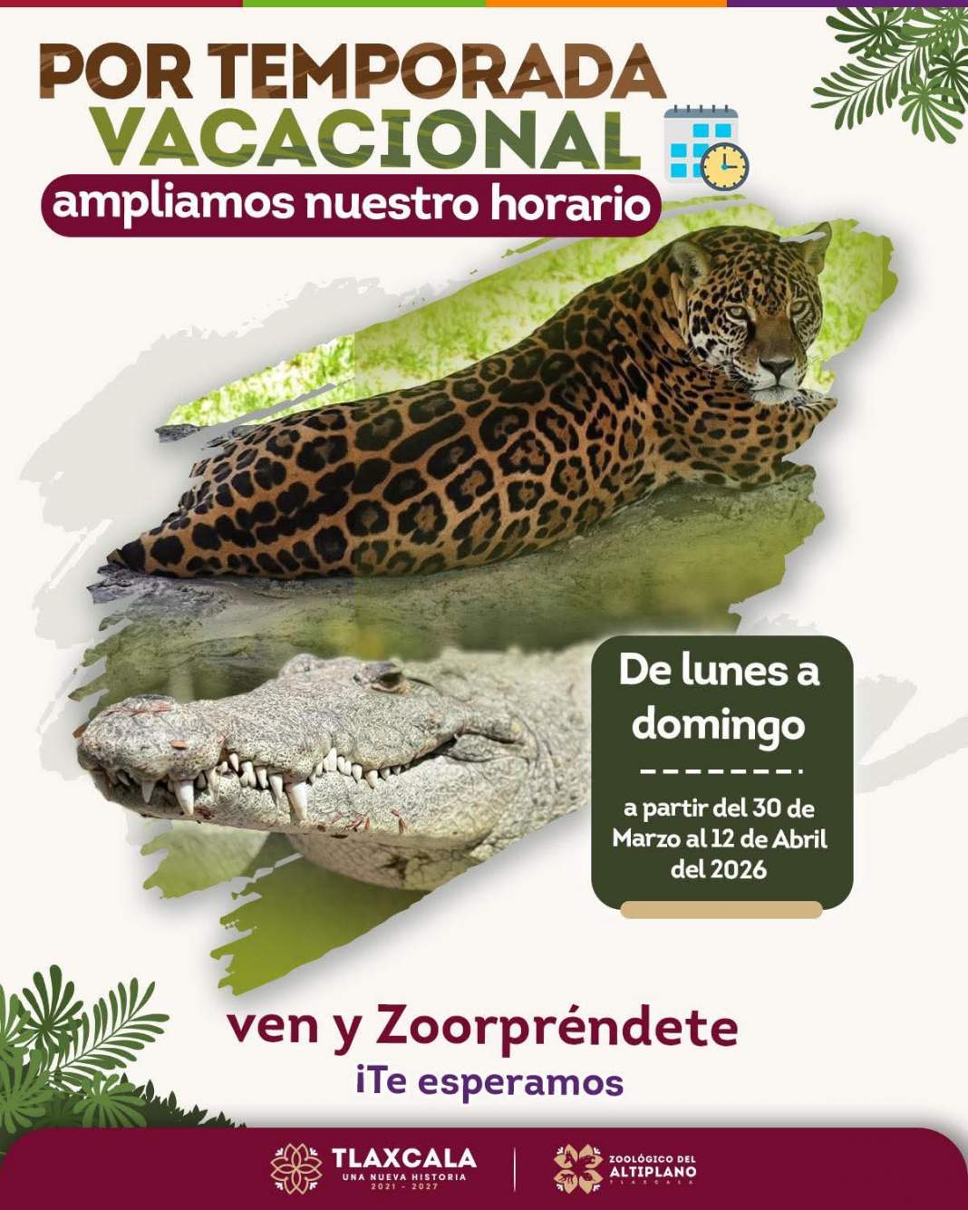 Zoológico del Altiplano en Tlaxcala amplía horario y promete vacaciones inolvidables