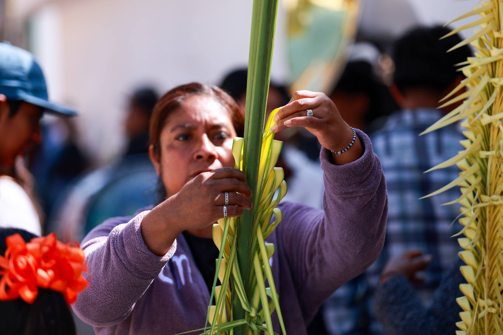 whatsapp image 2026 03 31 at 5.02.22 pm