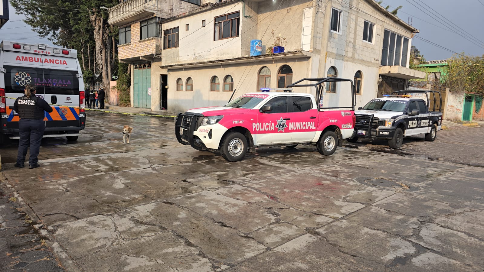 Hallan sin vida a adulto mayor dentro de vivienda en Panotla