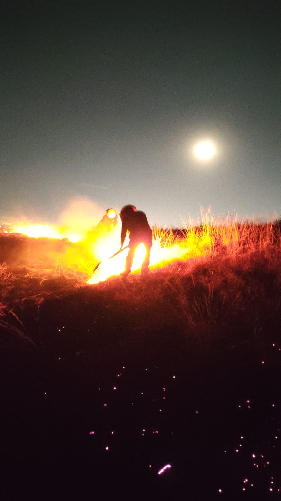 whatsapp image 2026 03 04 at 11.42.24 pm