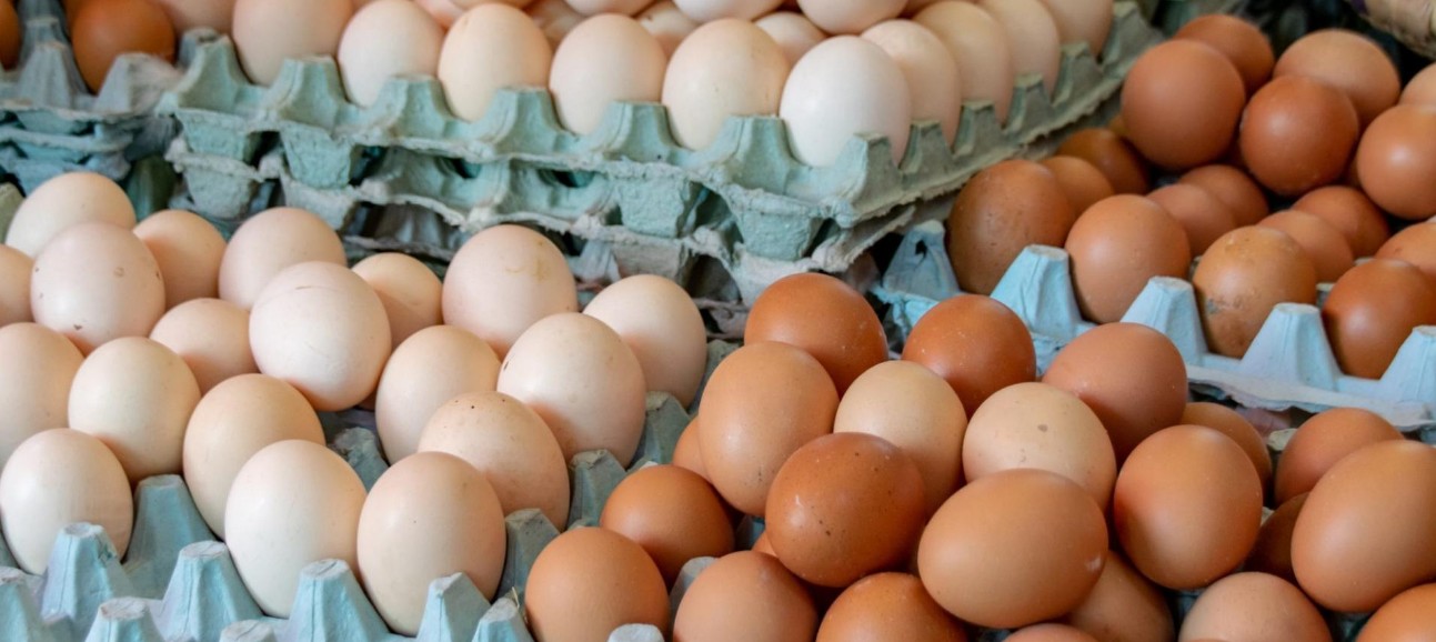 Profeco lanza advertencia: el error al lavar el huevo que podría poner en riesgo tu salud