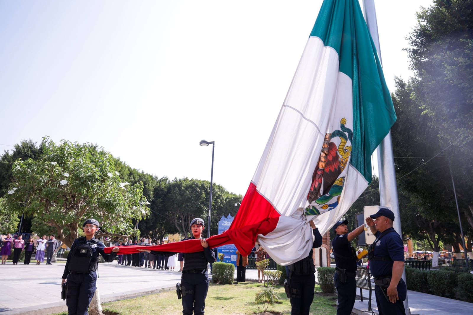 whatsapp image 2026 03 08 at 5.15.18 pm