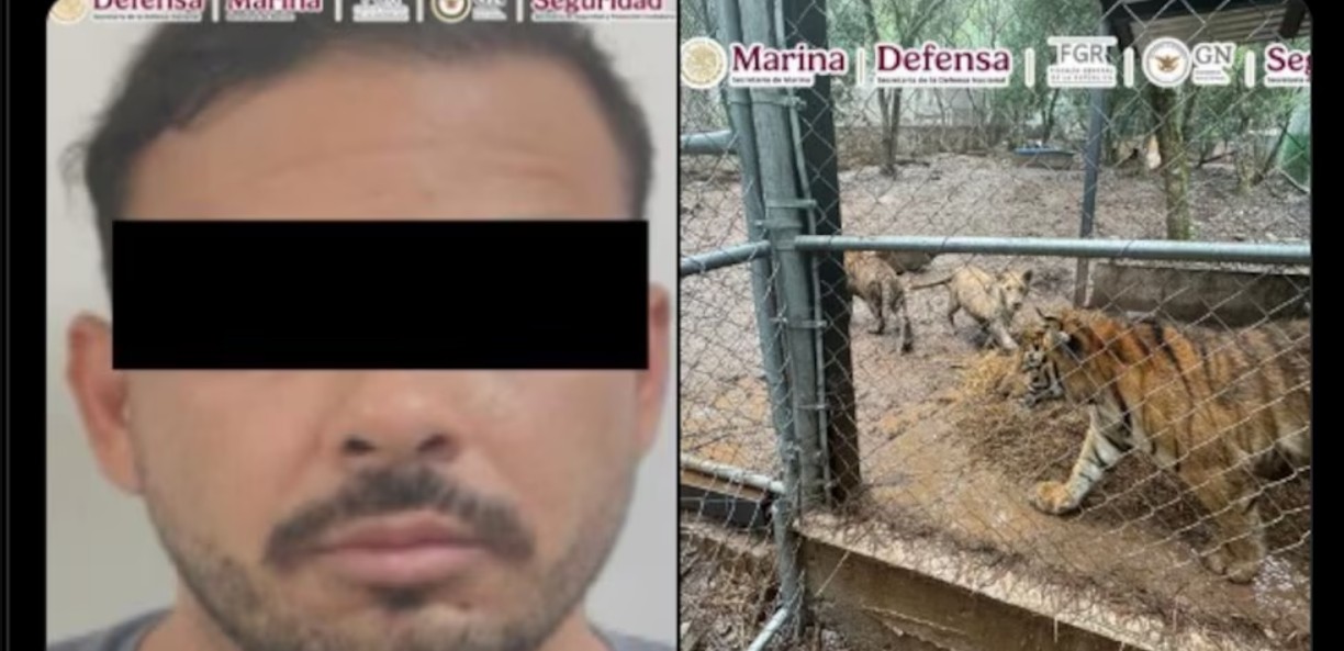 Operativo de seguridad en inmueble de Nuevo León