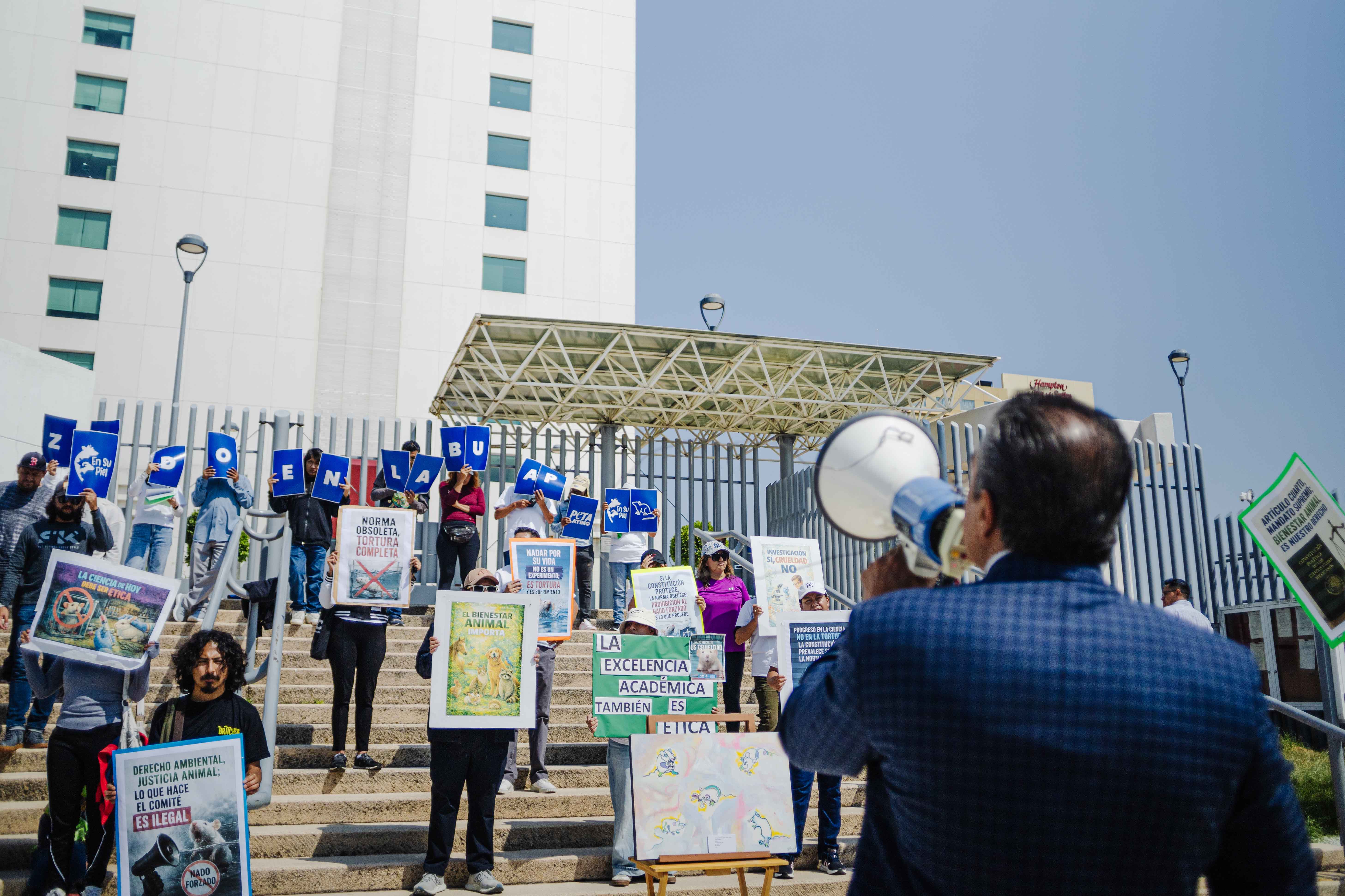 Animalistas presionan a tribunales para frenar pruebas con ratones realizadas por la BUAP