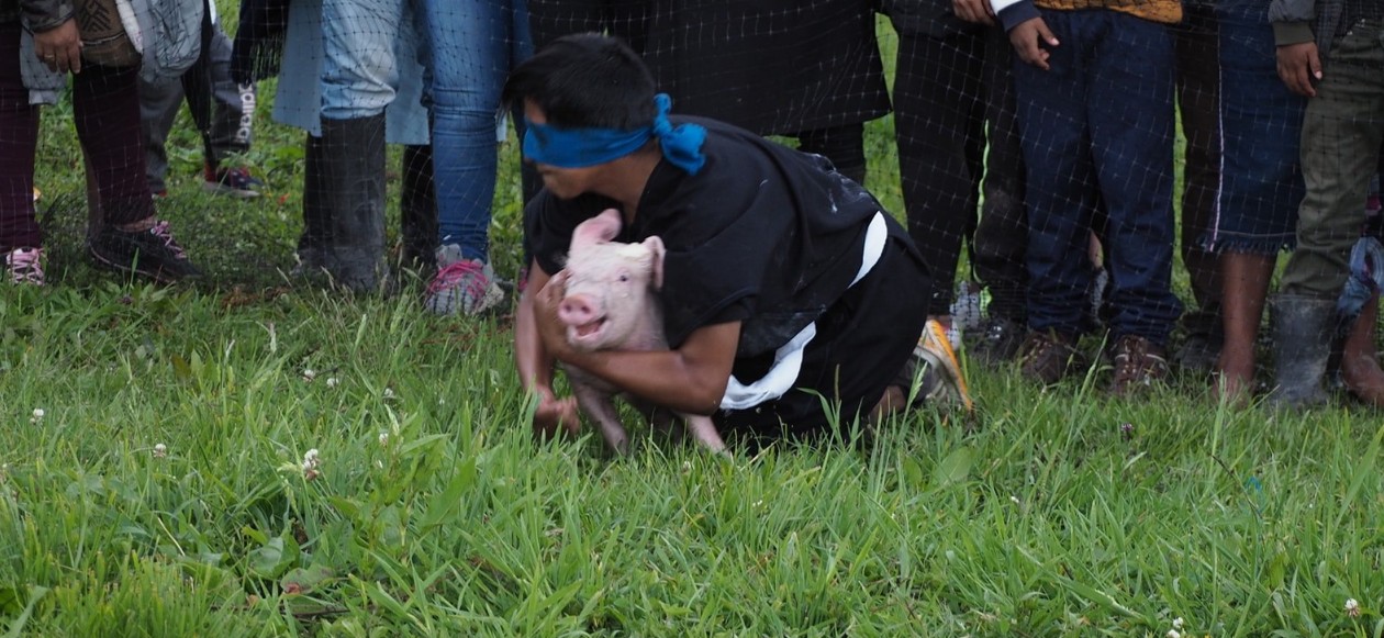 Autoridades cancelan actividades con animales en Zacatlán