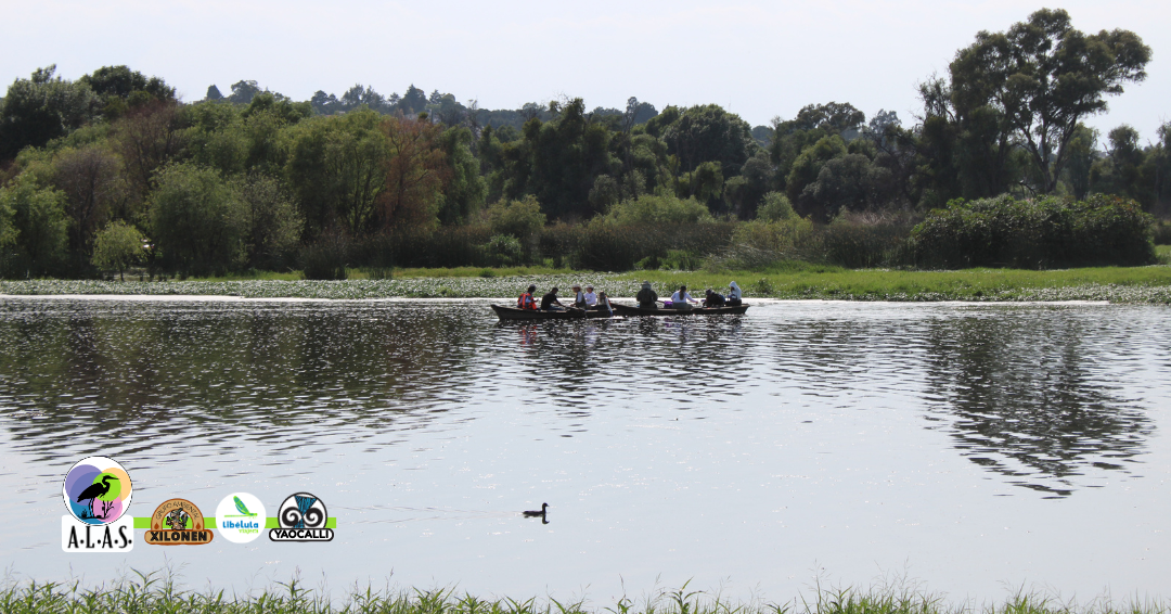 Alertan por contaminación en la laguna de Acuitlapilco y cuestionan visión turística