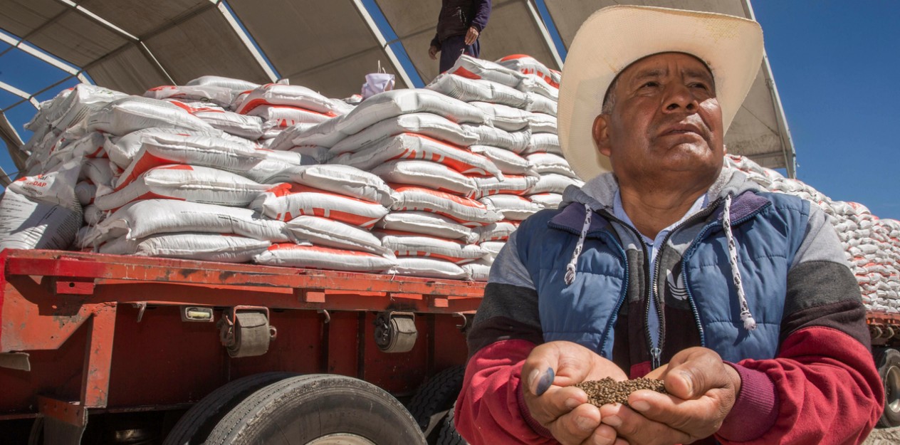 Productores agrícolas trabajando en campos de Zacatecas