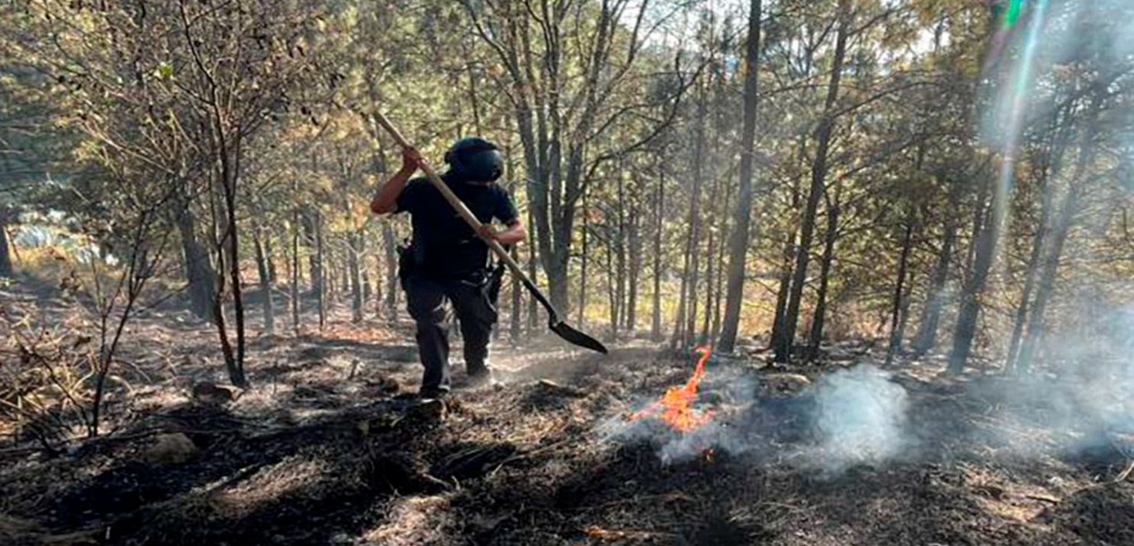 Elementos de la Policía Forestal en operativo en Puebla