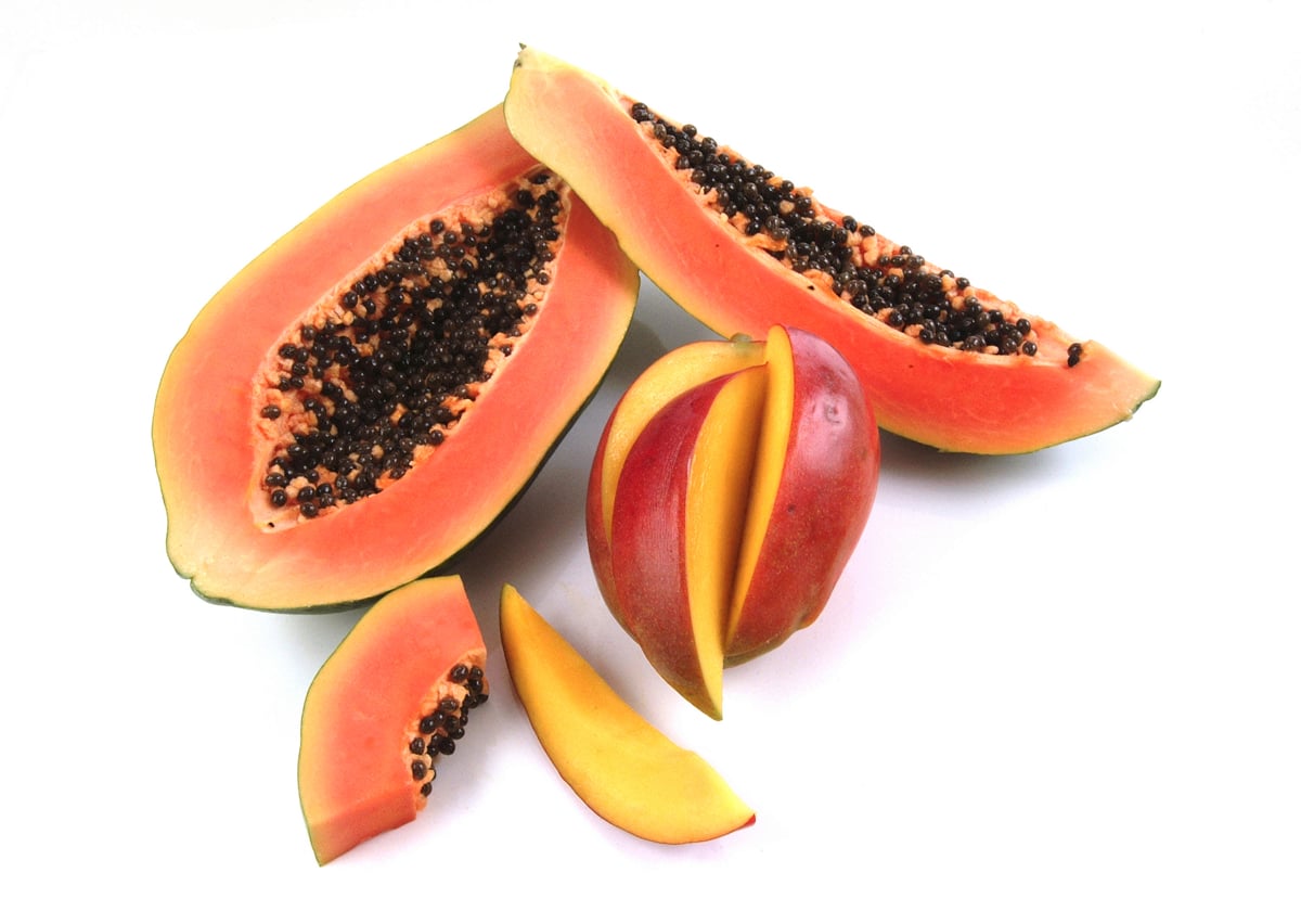 Árbol de papaya con frutos maduros en un jardín
