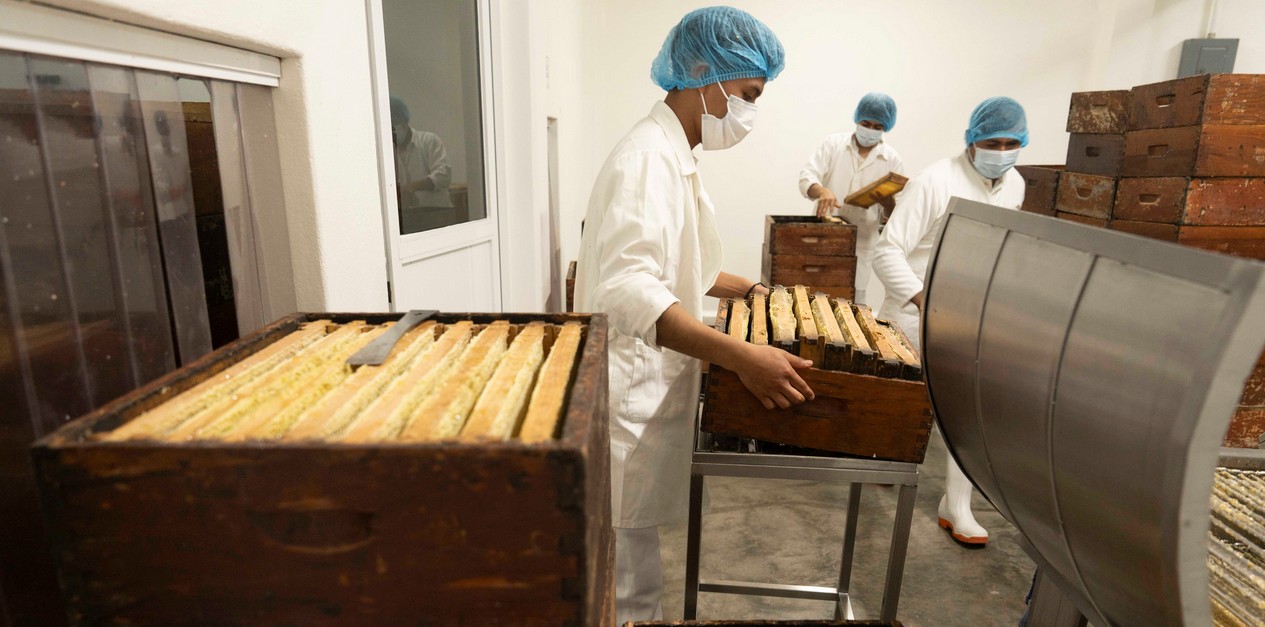 Apicultor trabajando con colmenas en México