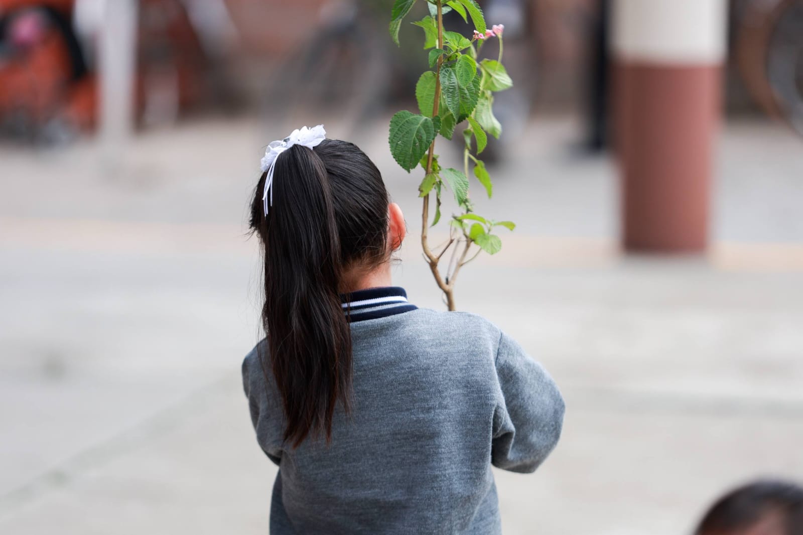 Fortalece Lupita Cuautle la educación y el cuidado ambiental con entrega de apoyos en San Rafael Comac