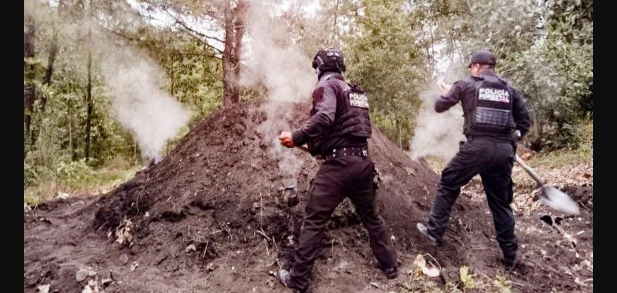 Elementos de seguridad destruyen hornos clandestinos en zona forestal de Puebla