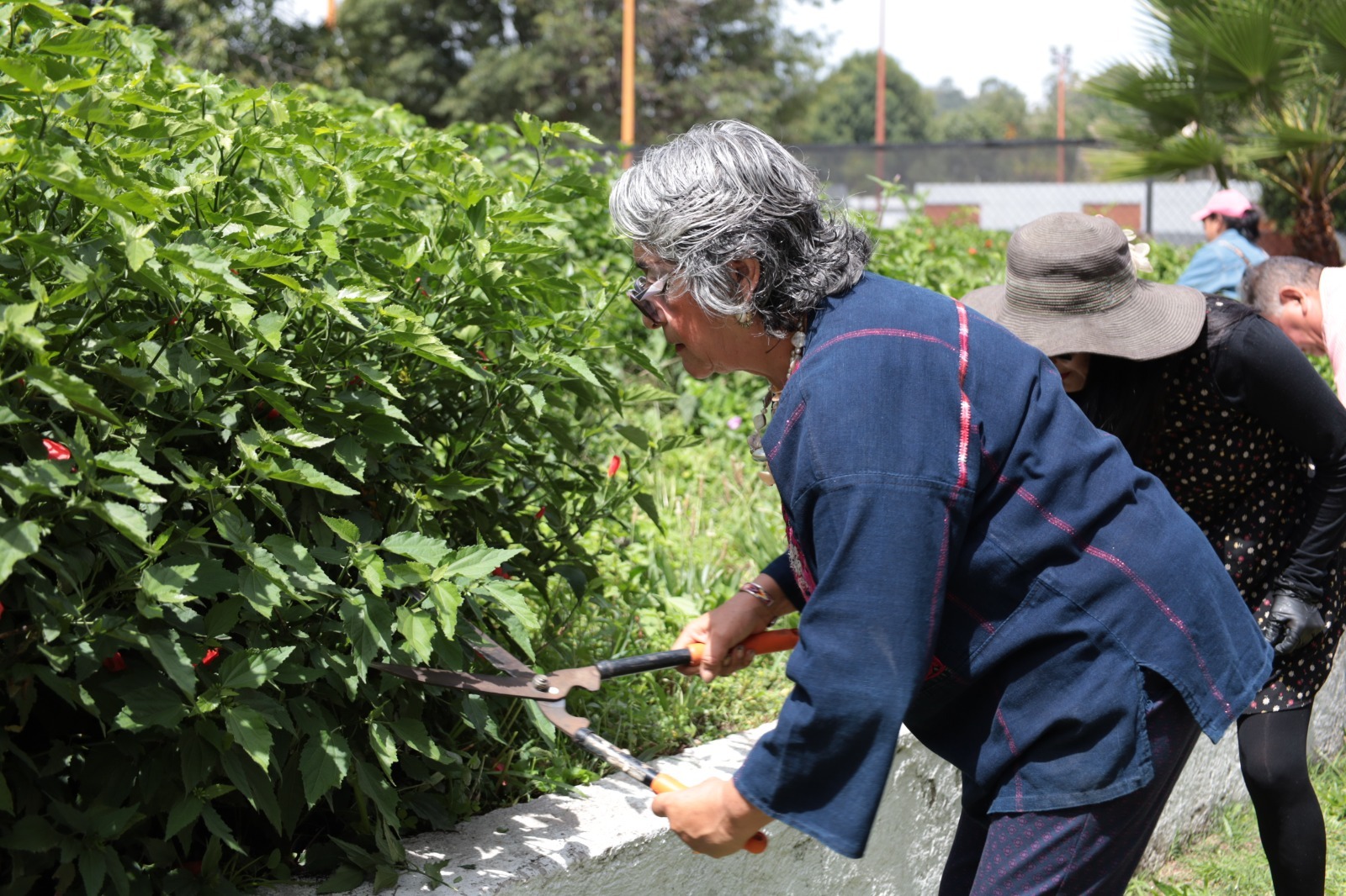 DIF San Pedro Cholula fortalece la recuperación gradual del Deportivo San Pedro