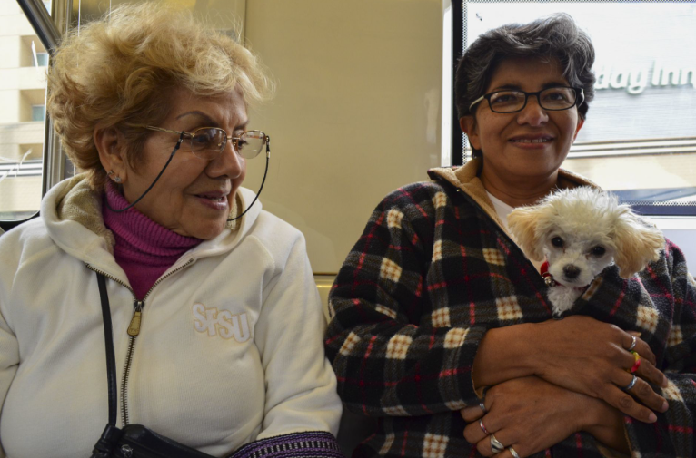 Diputada propone permiso laboral por muerte de mascota.
