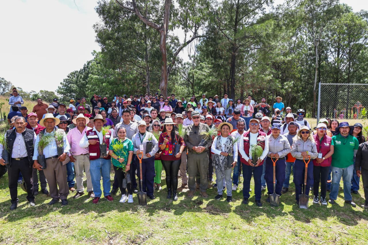 Con el respaldo del Gobierno del Estado, Tonantzin Fernández encabeza jornada de reforestación en el Cerro Zapotecas