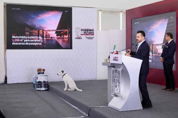 Torres del cablebus de Puebla estarán conectadas al C5