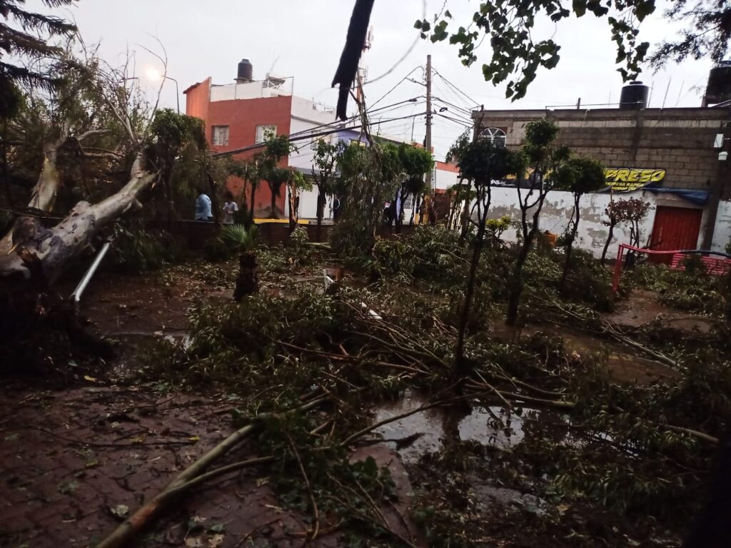 Fuerte lluvia provoca inundaciones y caída de árbol en Puebla capital