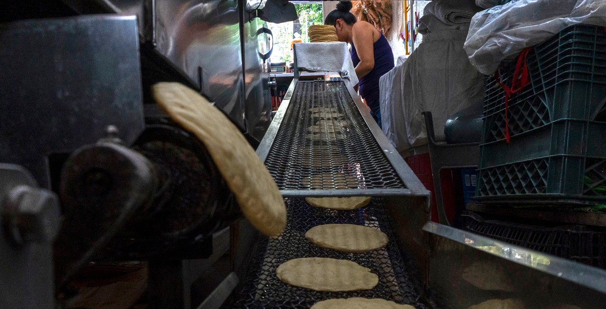 Tortillas de maíz recién hechas