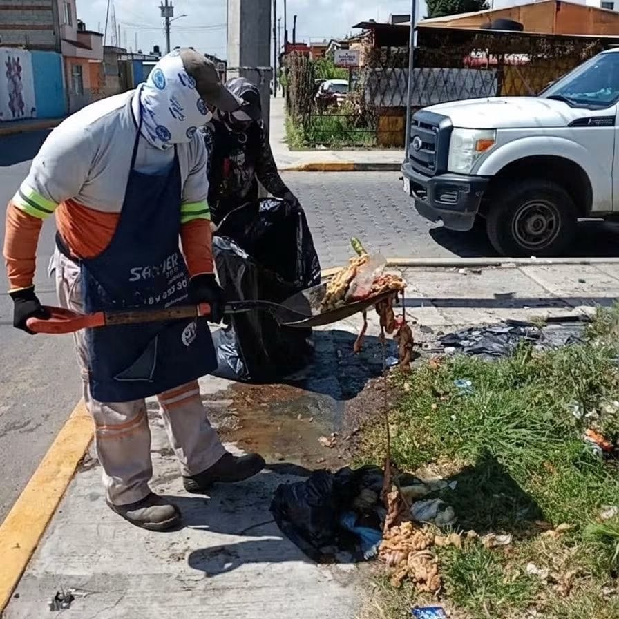 San Pedro Cholula advierte multas por tirar residuos cárnicos en la vía pública