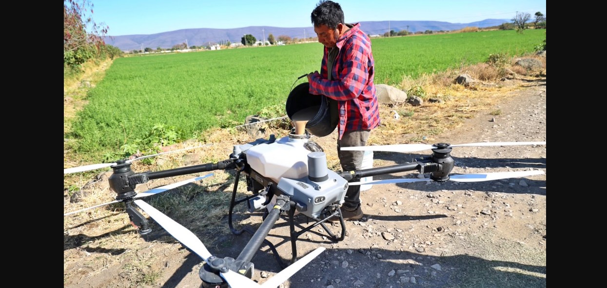 Dron fumigando cultivos de amaranto