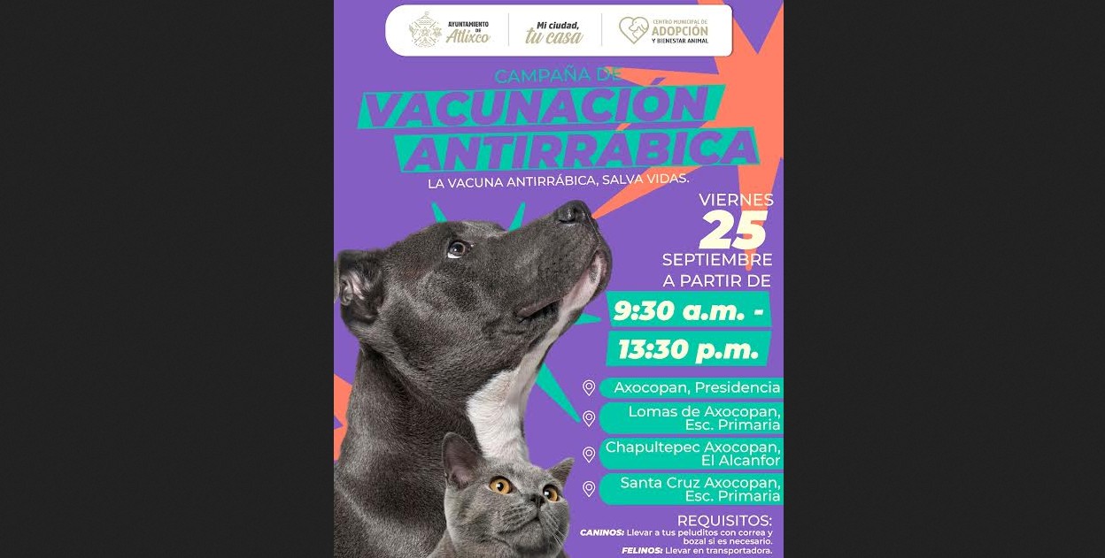 Jornada de vacunación para perros y gatos