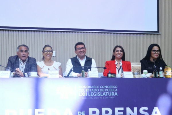 No habrá propuesta para adelantar alternancia al 2030 en Puebla 